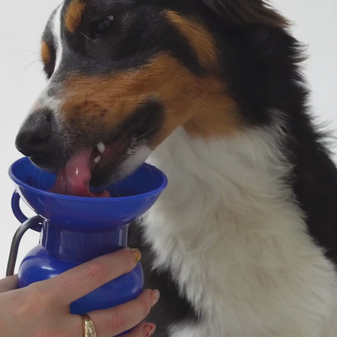22oz Original Dog Travel Water Bottle