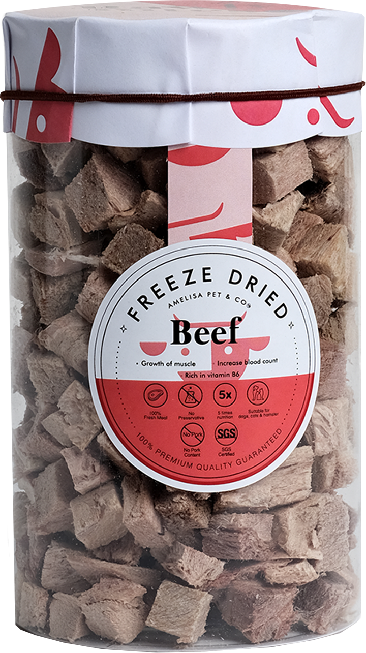 Rawly Bites | Freeze Dried Beef
