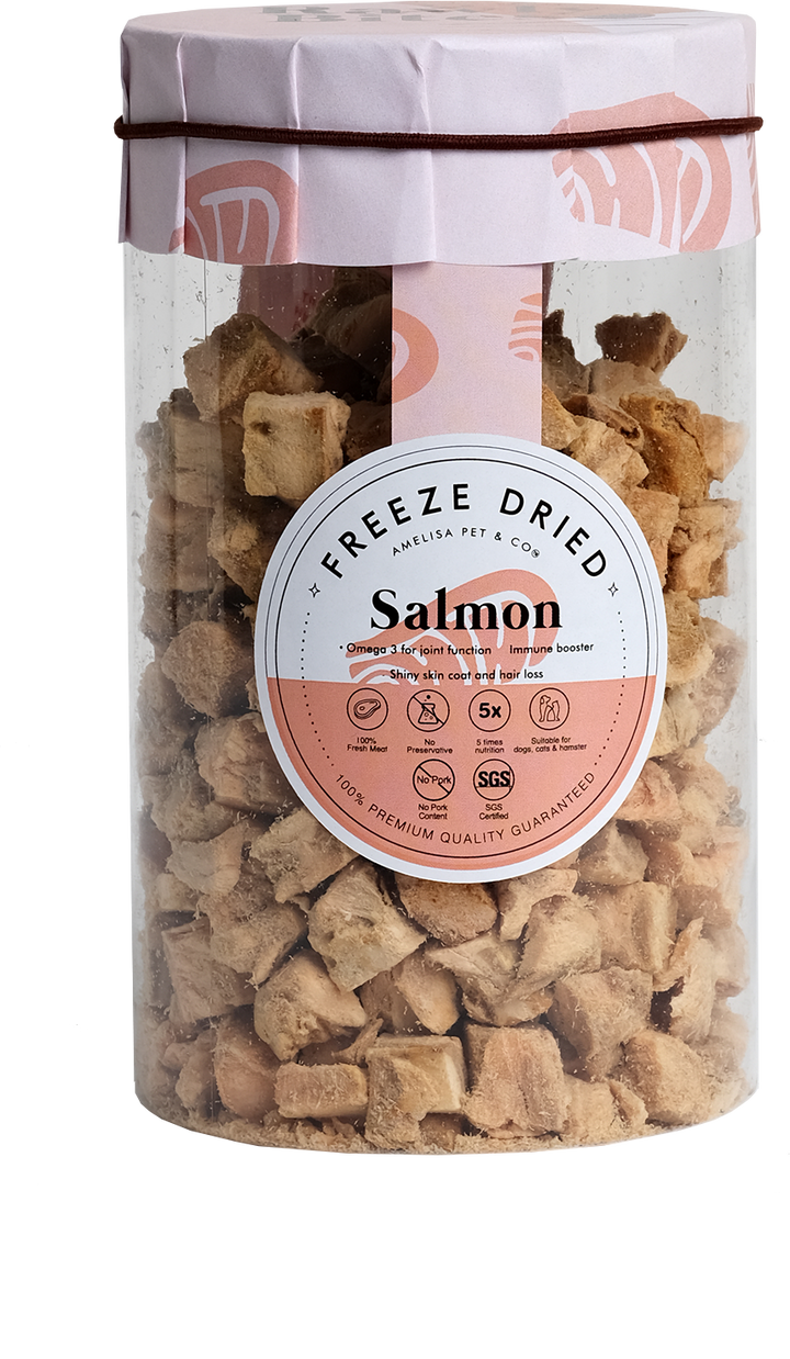 Rawly Bites | Freeze Dried Salmon