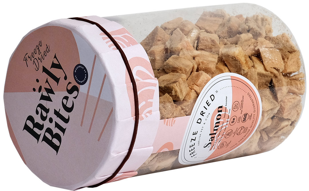 Rawly Bites | Freeze Dried Salmon