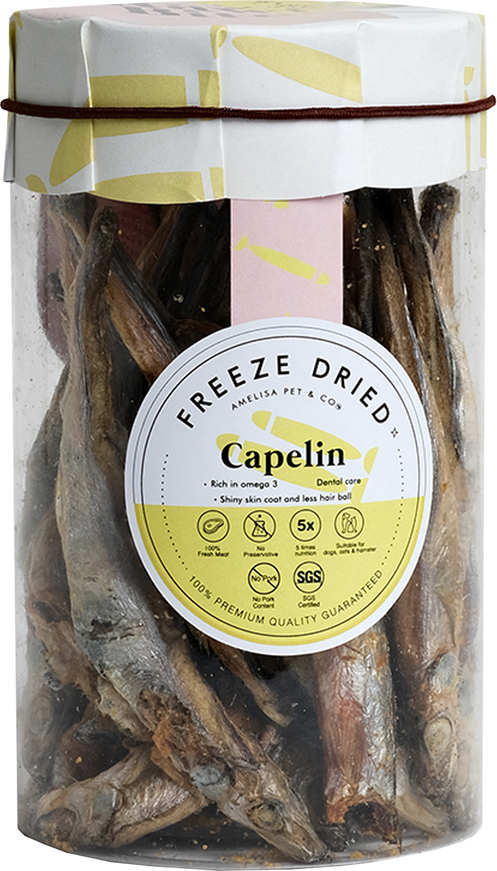 Rawly Bites | Freeze Dried Capelin