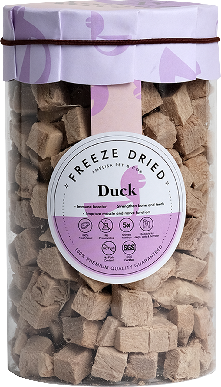 Rawly Bites | Freeze Dried Duck