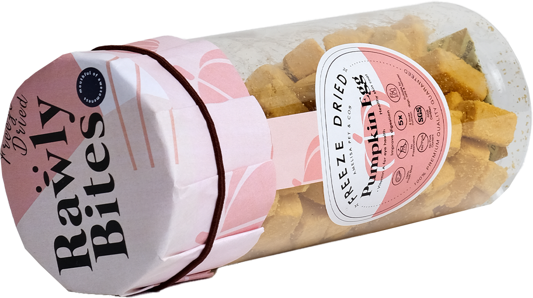 Rawly Bites | Freeze Dried Pumpkin & Egg