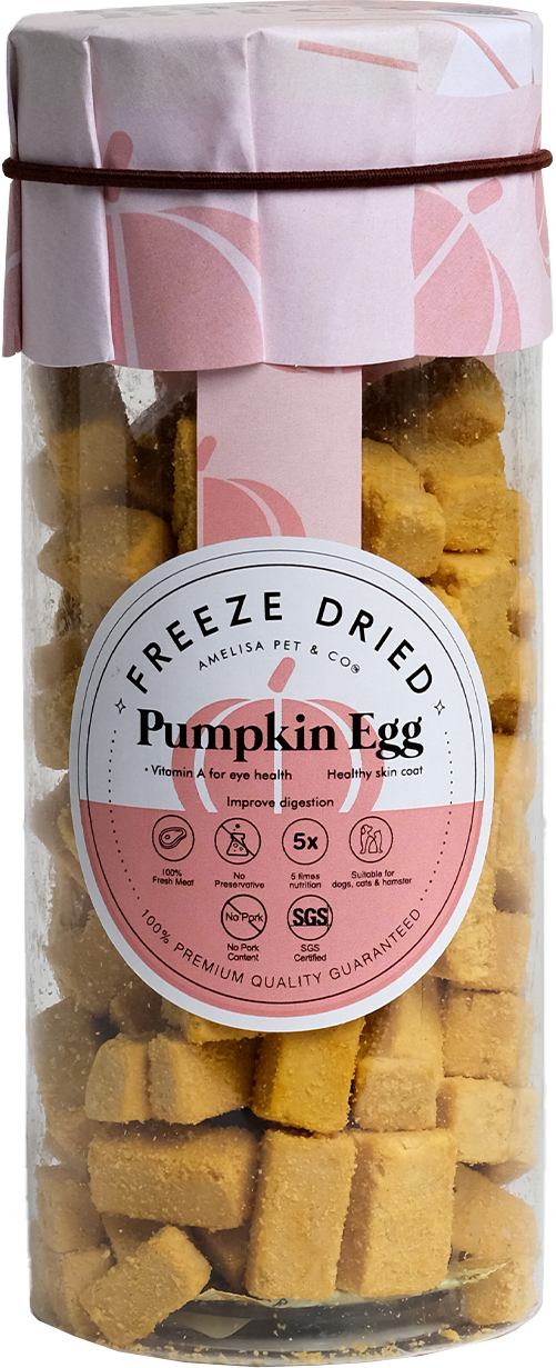 Rawly Bites | Freeze Dried Pumpkin & Egg